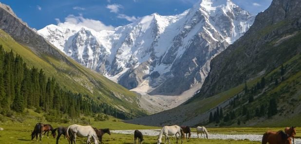 Исследуйте Кыргызстан (5 дней)